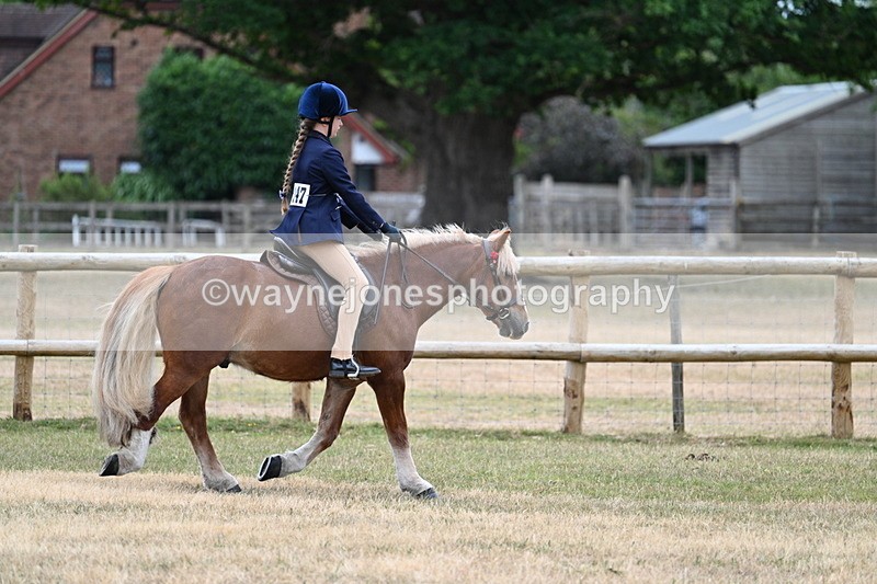 WJ7_0422 - Class 2 Best rider