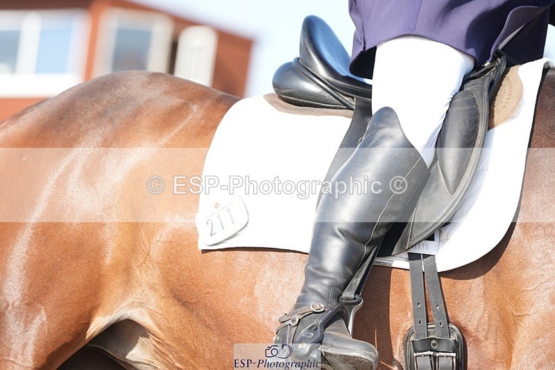 250817-165433-11979 - 211-Carey.CollettRubin's.Fanfare