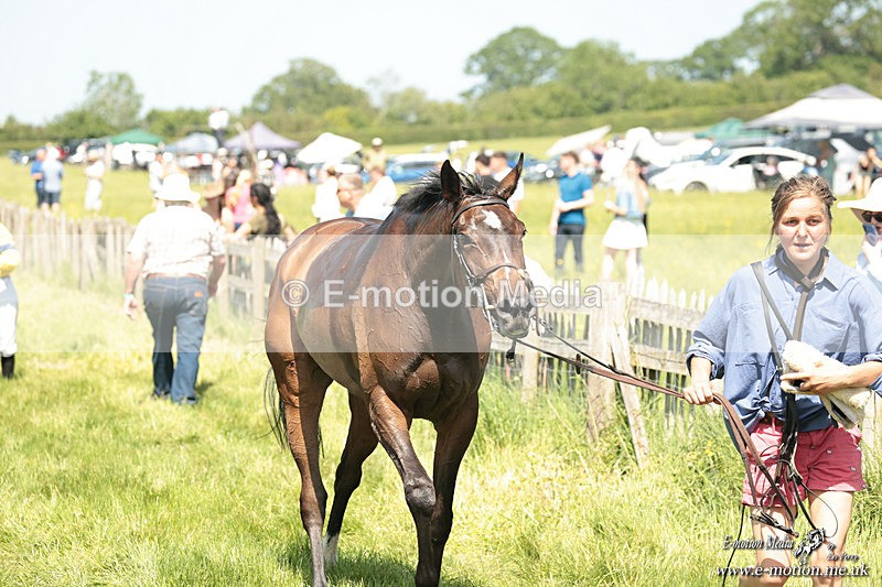 PtP 250526 234 - Albrighton & Woodland PtP Chaddesley Corbett 25/05/26