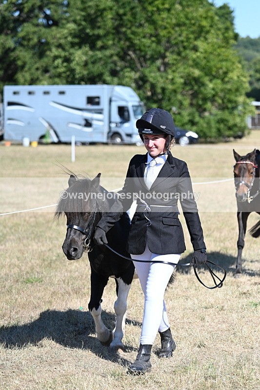 WJ7_1853 - Class 43 Best Six Legs (In hand)