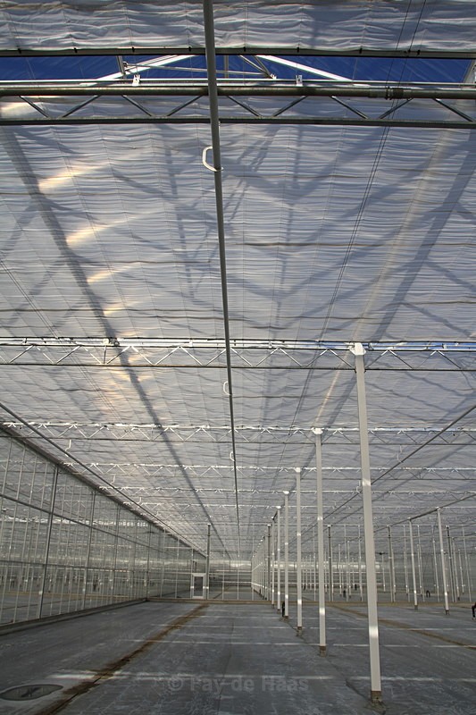 IMG_4613 - Manmade lines