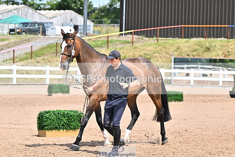 240718A-105319-01842 - Trot Up 1pm to 2pm