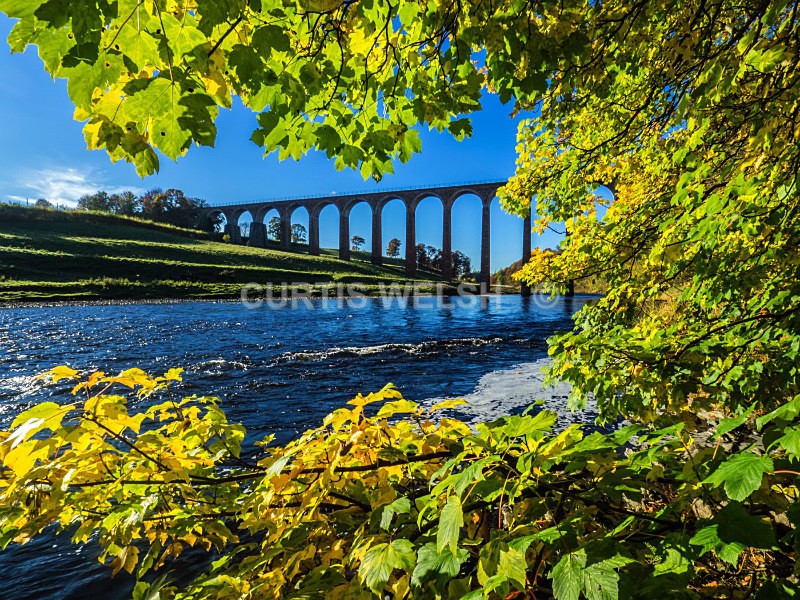 6 - SCOTTISH BORDERS