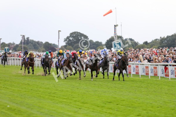 240824-Race 2-Tabletalk-8925 - Race 2 2.25pm Sky Bet Melrose Handicap