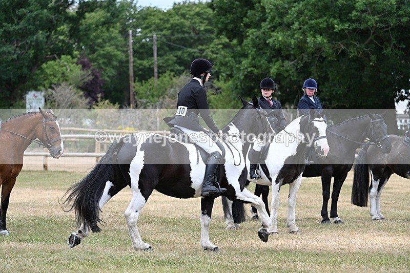 WJ7_1019 - Class 3 Family Mount