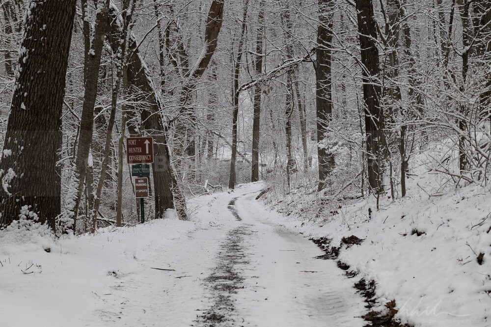 DSC_4706 - Roads