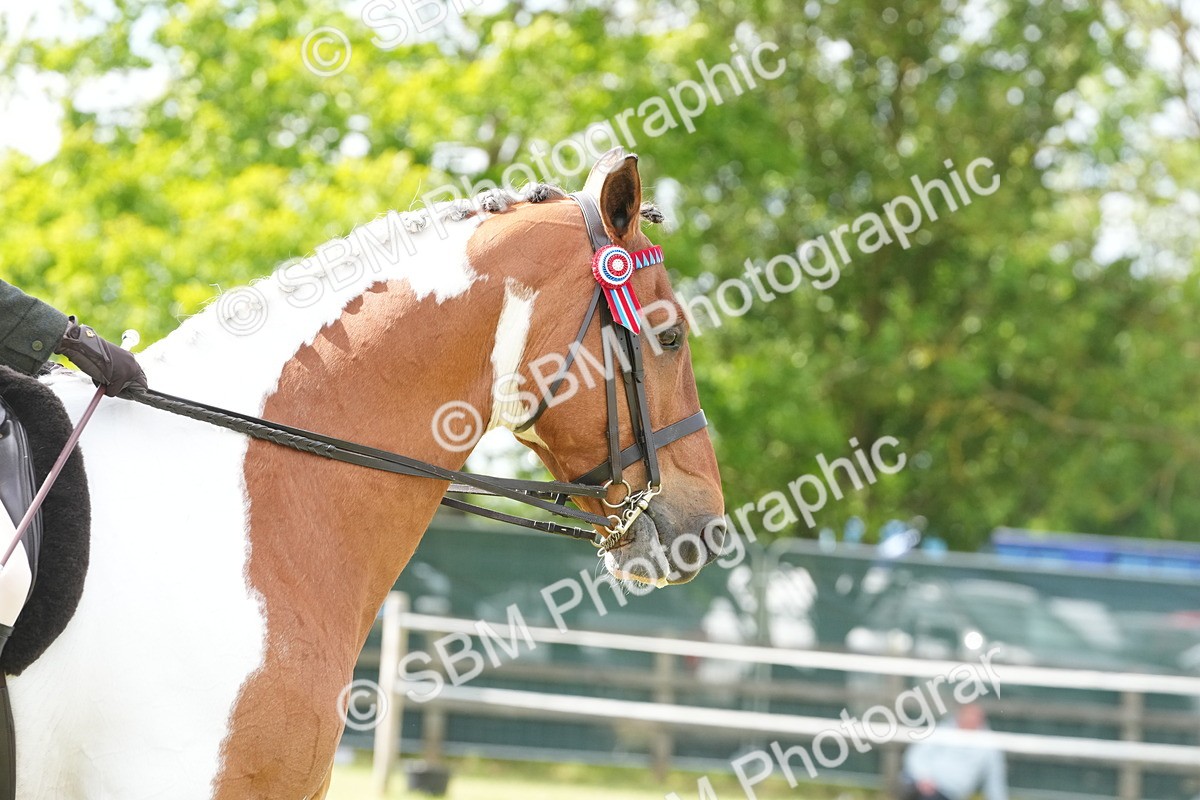 SBM_17617 - Class 107-108 - LIHS BSPS Performance Coloured Horse Pony