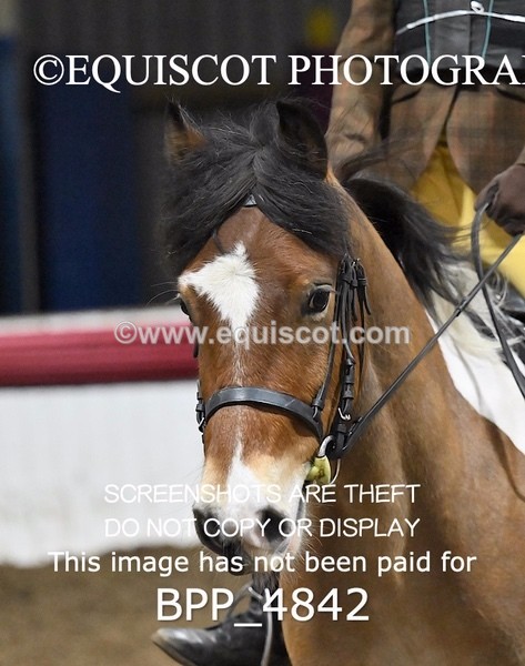 BPP_4842 - CLASS 1 X POLES