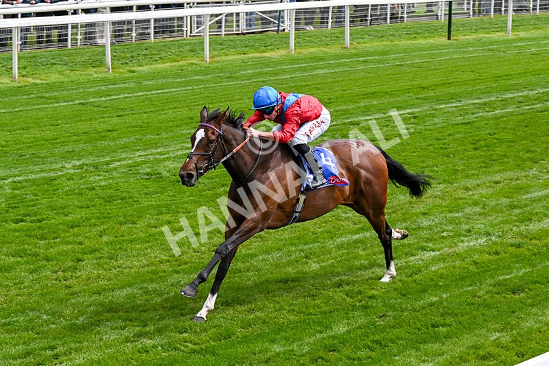 150526-Race 2-Lilt-0113 - Race 2 2.20pm Sky Bet Fillies' Stakes