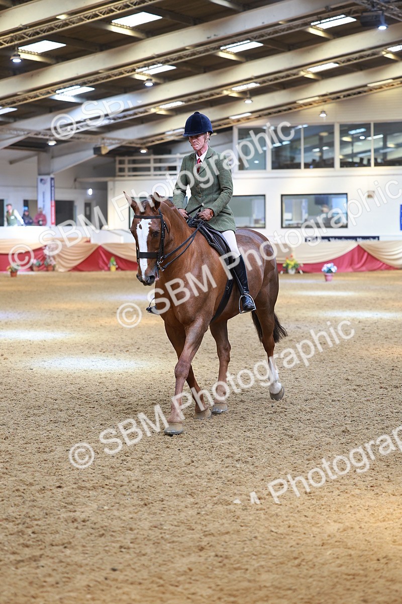 SBM_12567 - Class 103 - HOYS Veteran Qualifier - Ridden Pre Vet