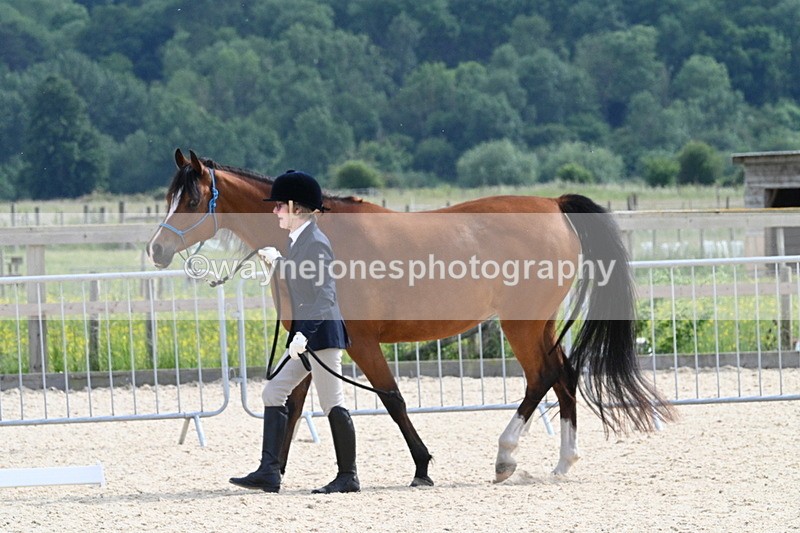 WJ7_8186 - Time 16:10 to 16:25