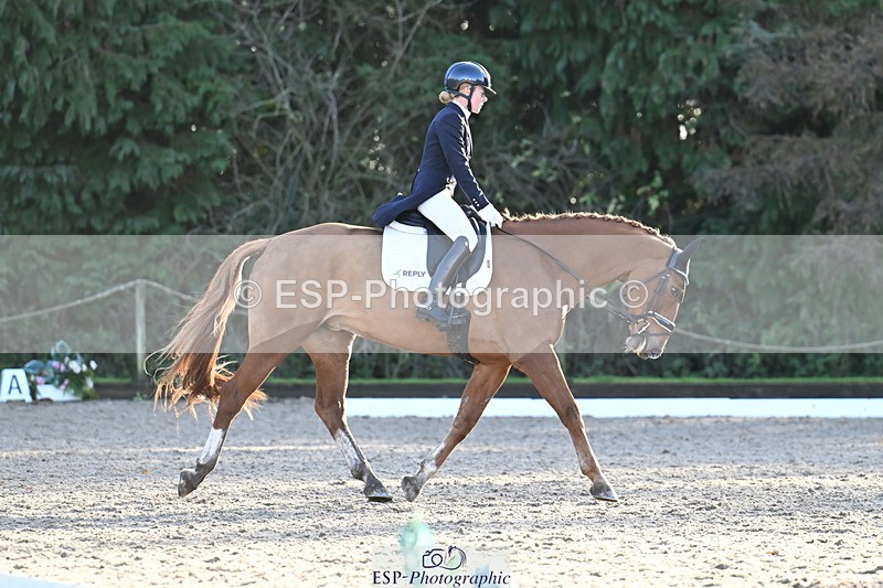 251023A-162556-06072 - B-170-Mollie.Summerland