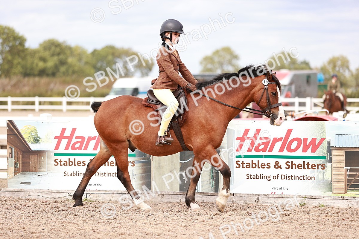 SBM_18296 - Class 417 - Handsome Gelding (IH or Ridden - JNR)