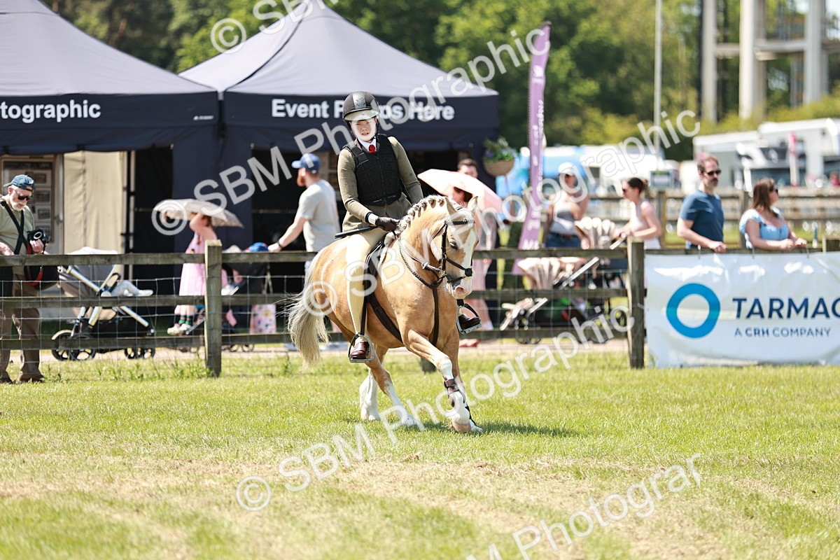 SBM_15678 - Class 108-109 - BSPS LIHS Open Gradle & Nursery Stakes