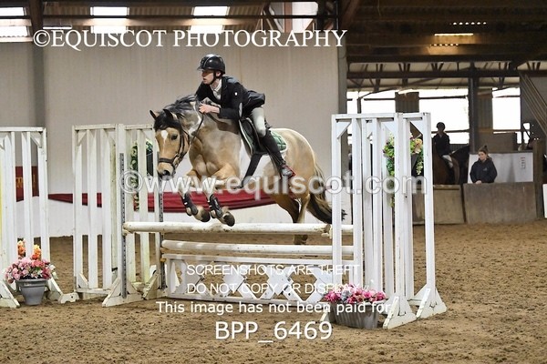BPP_6469 - CLASS 4 British Novice/ 90cm Open