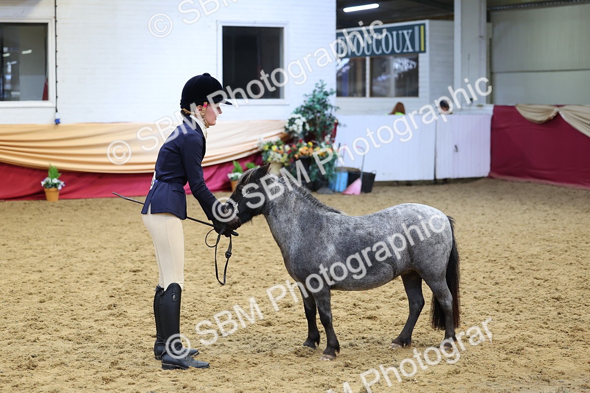 SBM_22855 - Class 903 - Supreme Final - IH Pre Vet