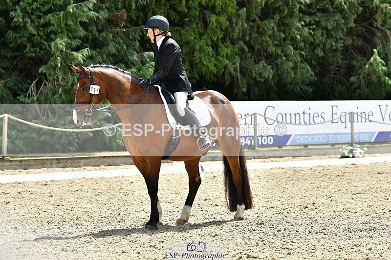 260801A-124610-04057 - Prelim Bronze Break - End