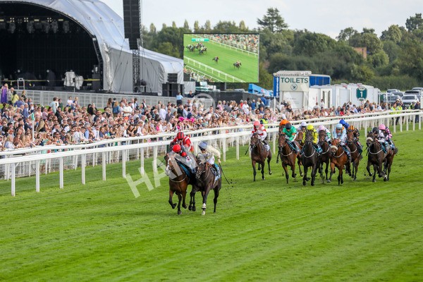 260724-Race 3-Elsies Ruan-4023 - Race 3 6.40pm Ire-Incentive, It Pays To Buy Irish EBF Restricted Novice Stakes