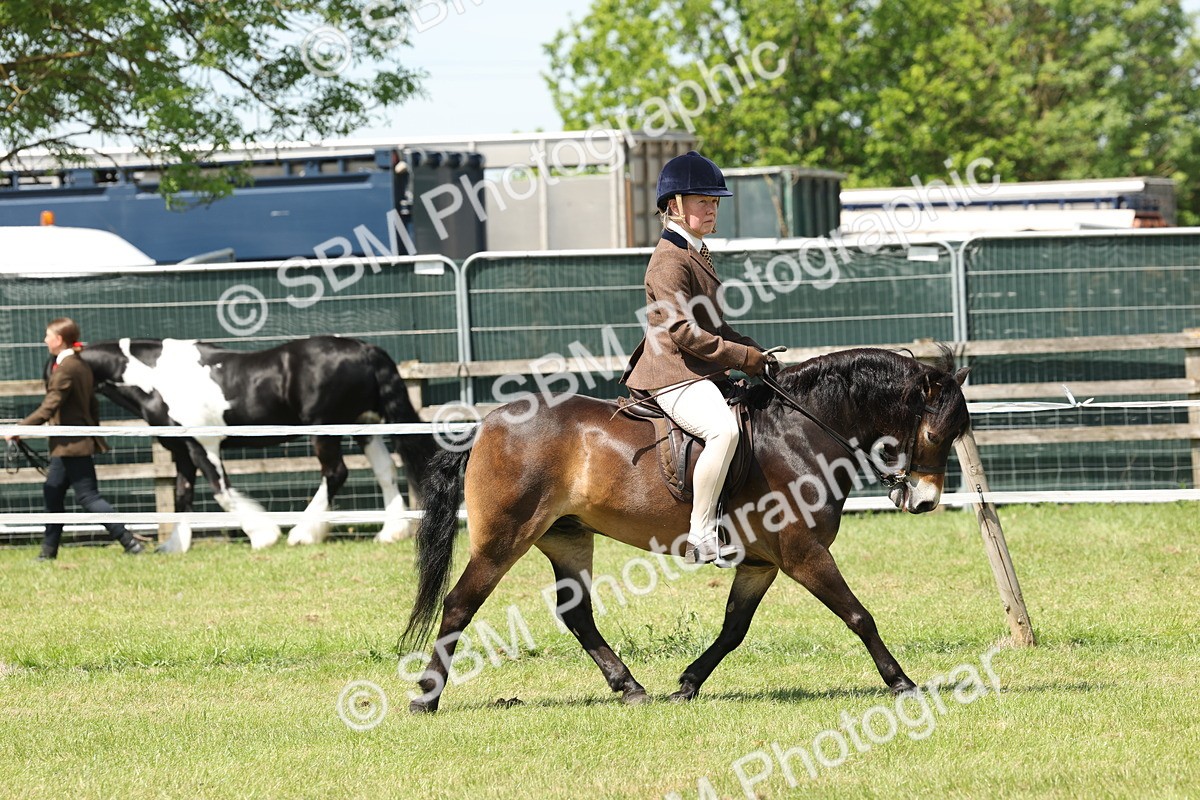 SBM_06808 - Class 26-30 - Mountain and Moorland Ridden