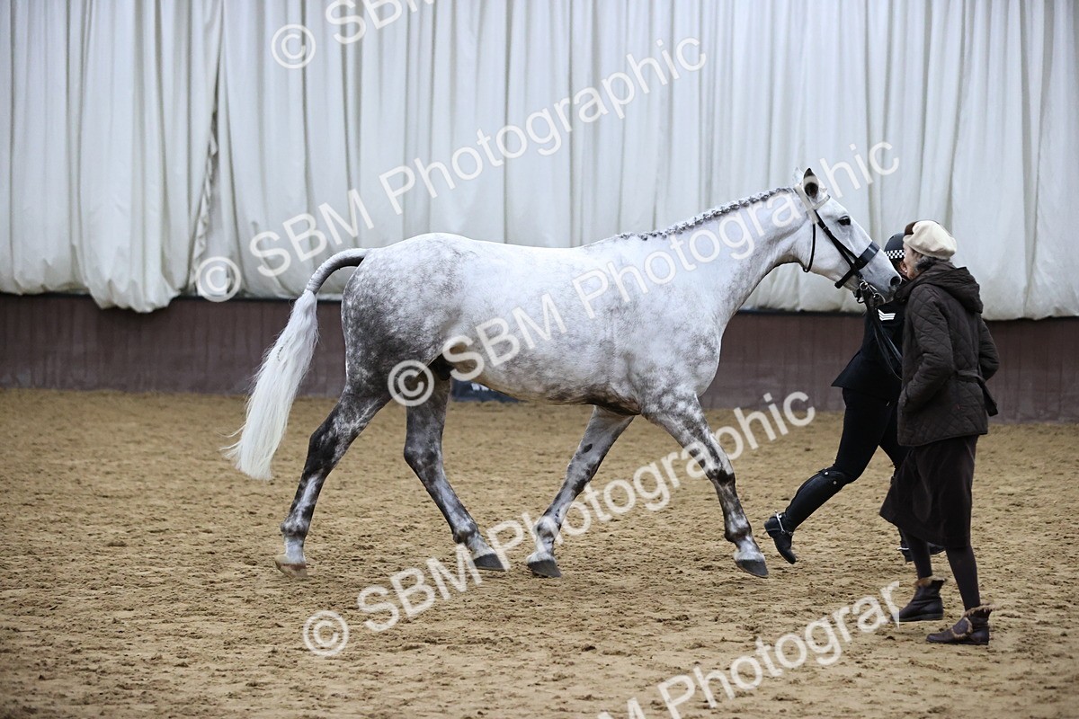 SBM_6313 - Class 17 - IDHSG Challenge Pure Breed