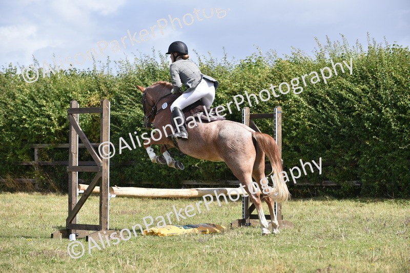 20250831-3994 - Class 12 - Working Hunter Pony 14.2hh and Under