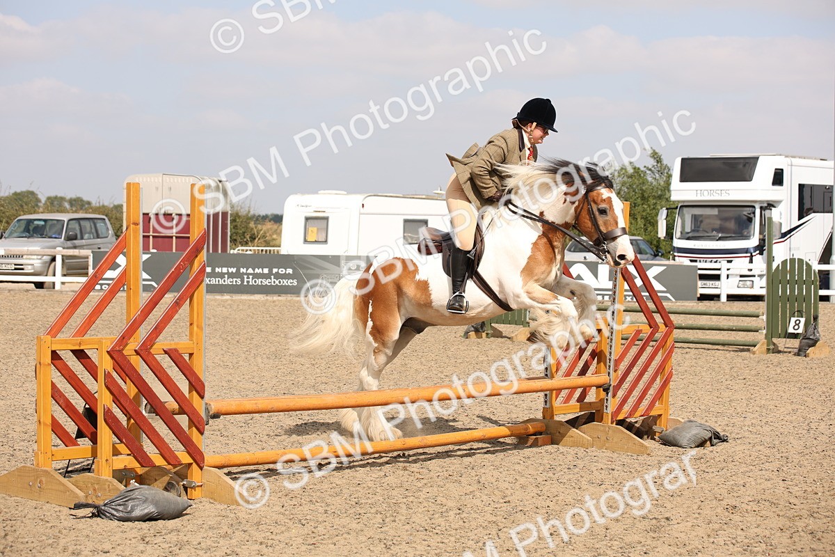 SBM_14289 - Class 407b - Working Veteran 60cm (20+)