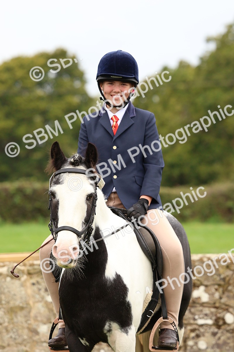 SBM_59931 - S36 - Rehabiliated Rescue Horse & Pony In Hand & Ridden