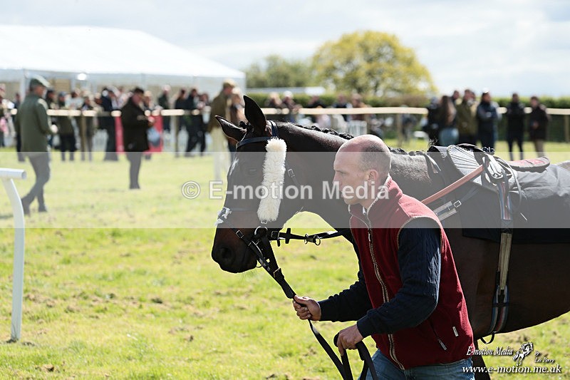 PtP 180426 169 - Worcestershire Hunt PtP Chaddesley Corbett 18/04/26