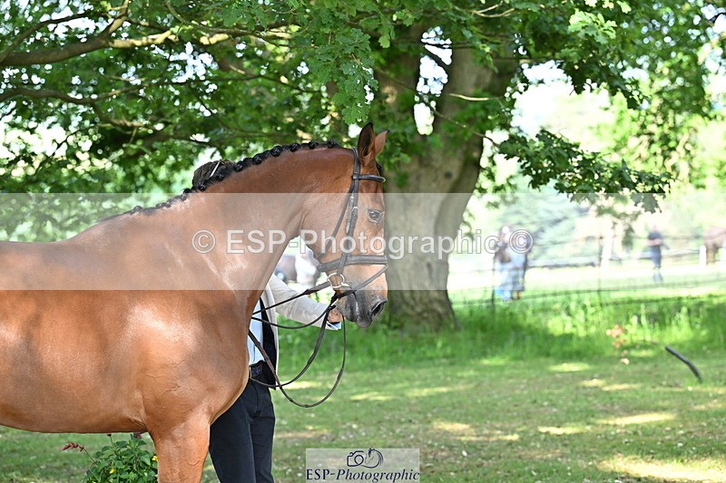 250521A-165133-01385 - C-269-Tom.Grant-NEW.NINI