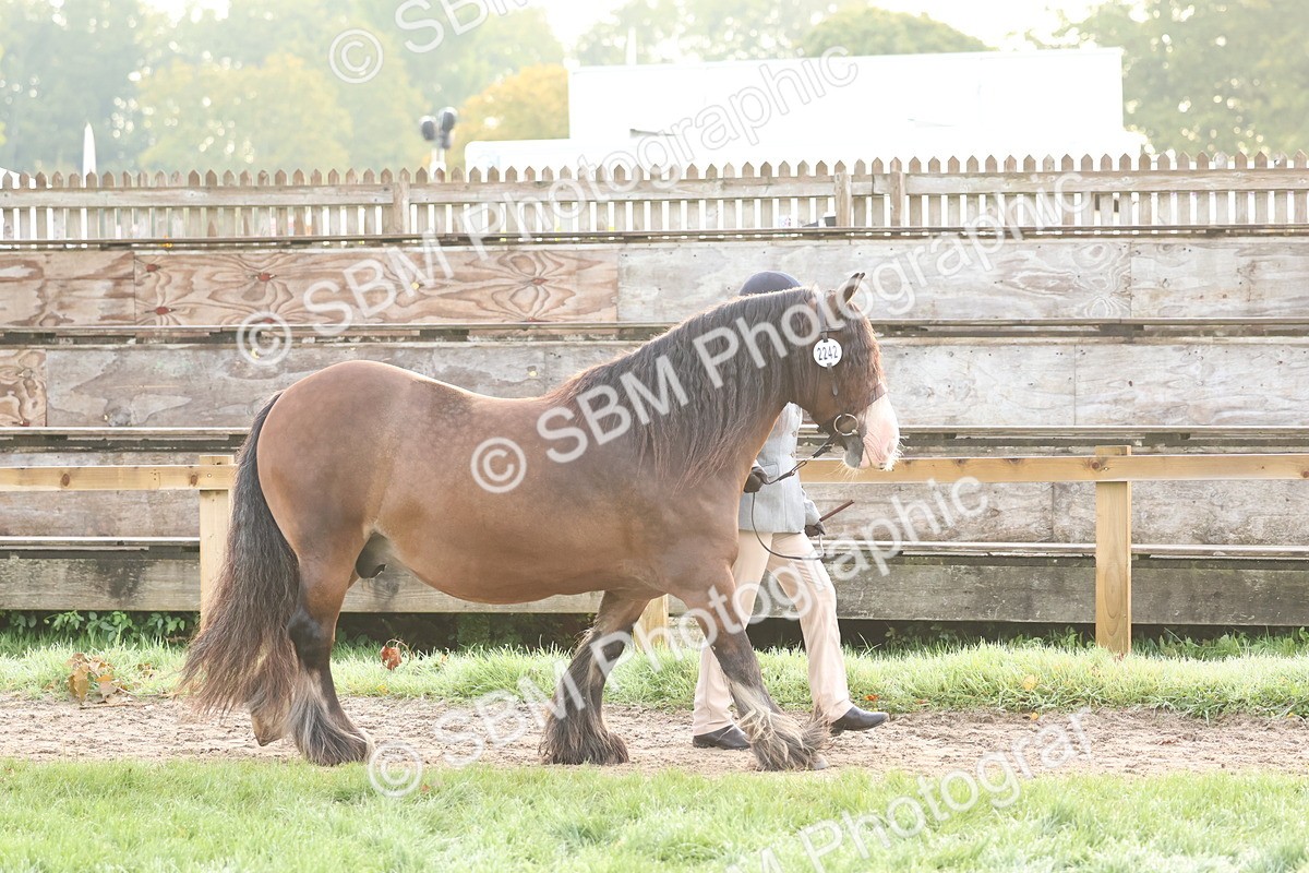 SBM_54496 - S38 - Starters Best Turnout