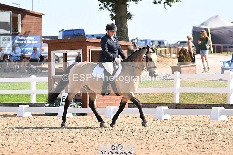 250816-111303-03556 - 082-Sarah.DavisWinston.Classic.Gold