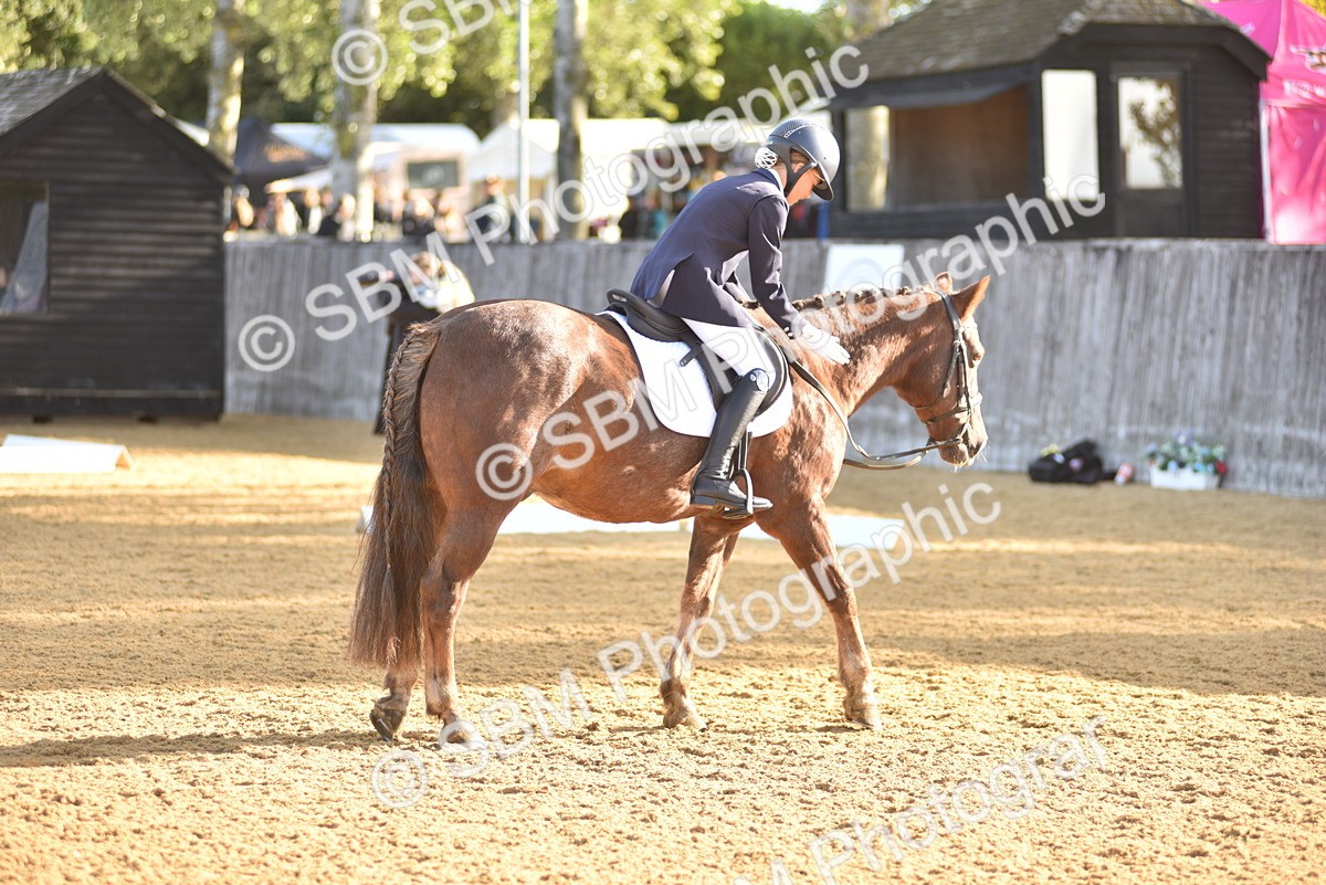 SBM_15720 - D4 - Small Tour Championship Intro 4