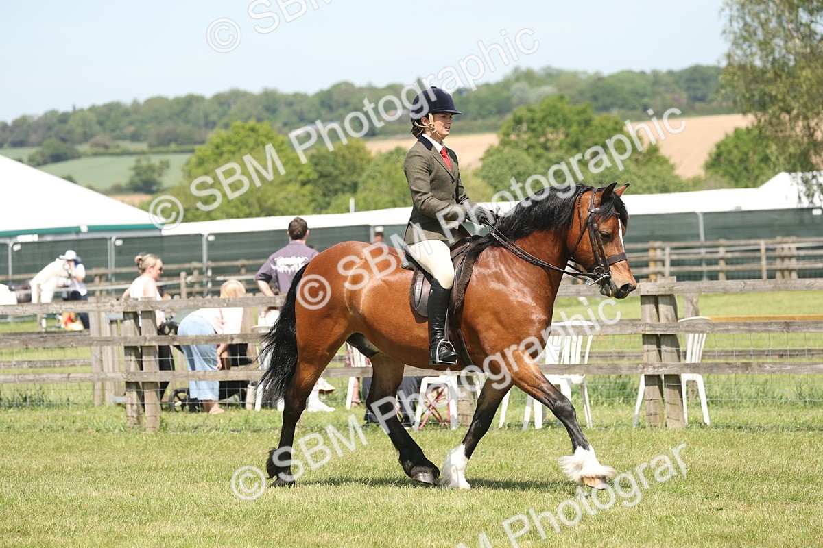SBM_06899 - Class 26-30 - Mountain and Moorland Ridden