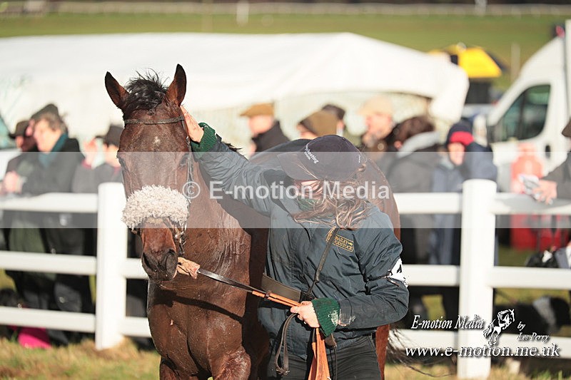 PtP 101223 899 - New Forest Hounds PtP Larkhill 10/12/23