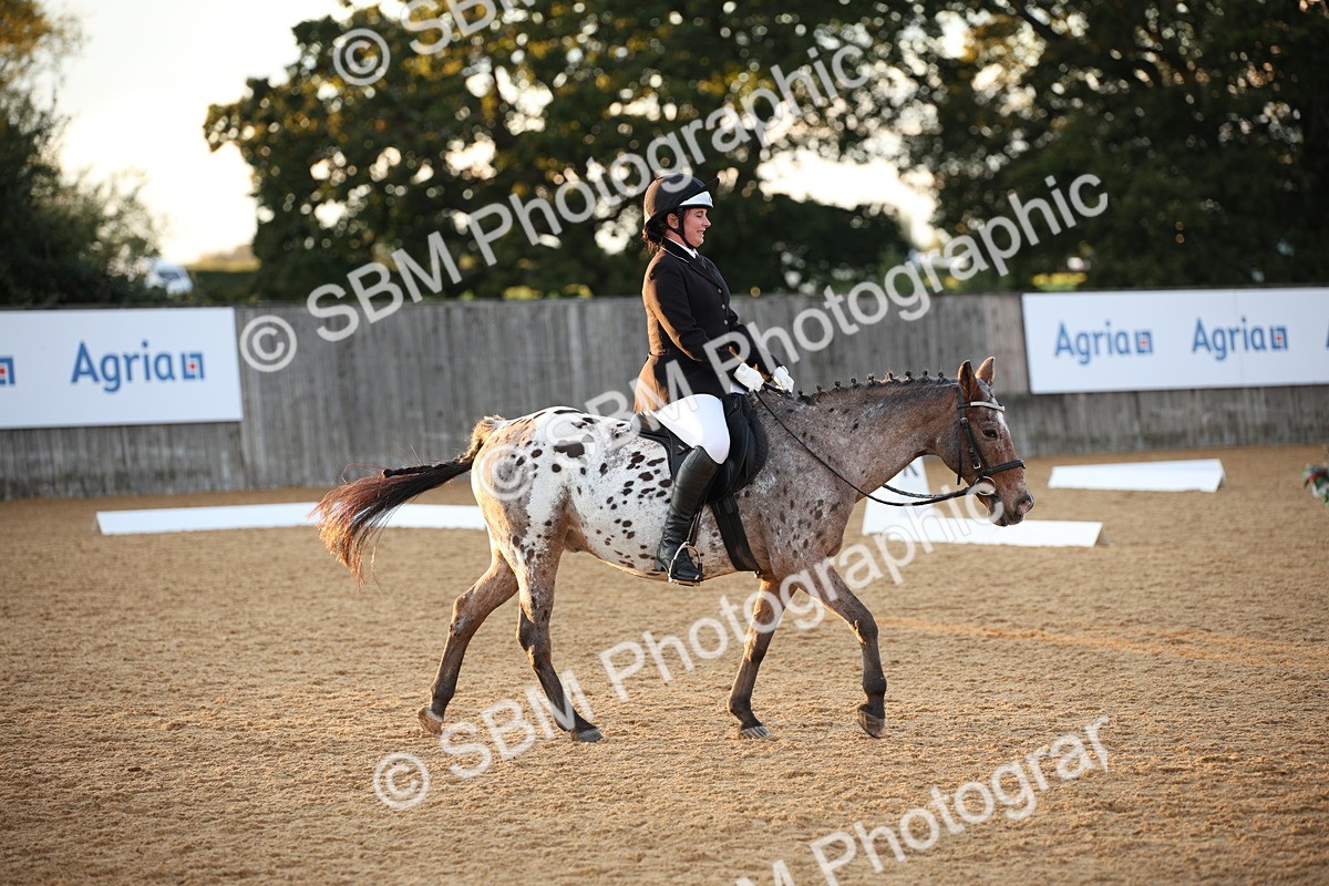 SBM_13361 - D3 Small  Tour Championship Intro A