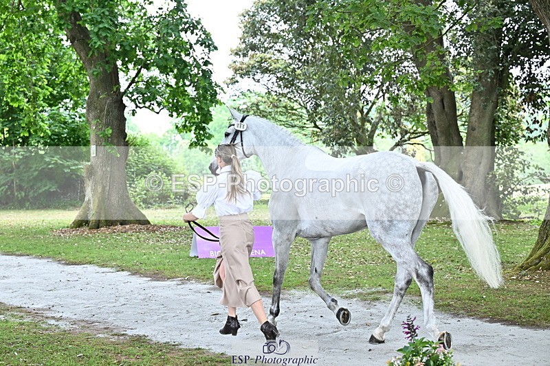 250521A-142858-00025 - A-066-Jemima.Howden-MONBEG.WHISPER