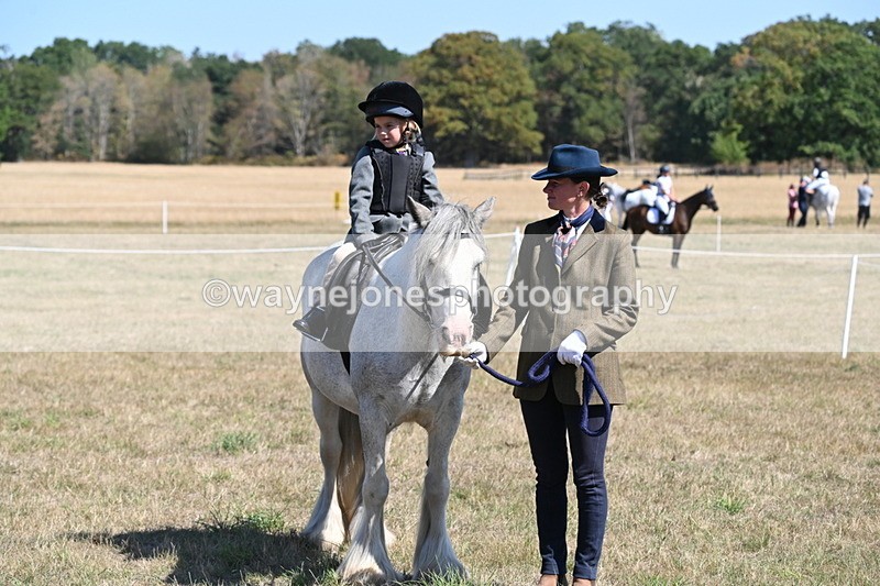 WJ6_8161 - Class 36 Lead Rein