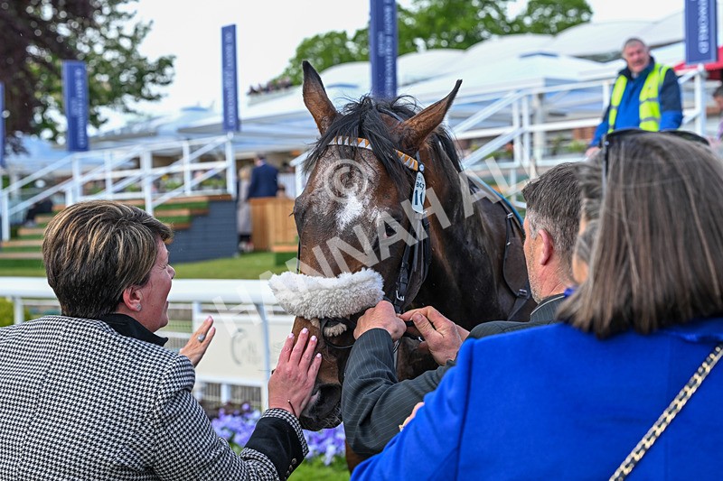 140526-Race 7-Arc Ole Ole-6235 - Race 7 5.15pm Frank Whittle Partnership Handicap