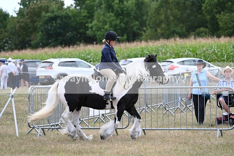 WJ7_5337 - Class 12 Ridden Cob