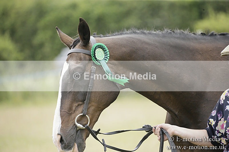 B230619-0598 - Bourne Valley Riding Club Summer Show 23/06/19
