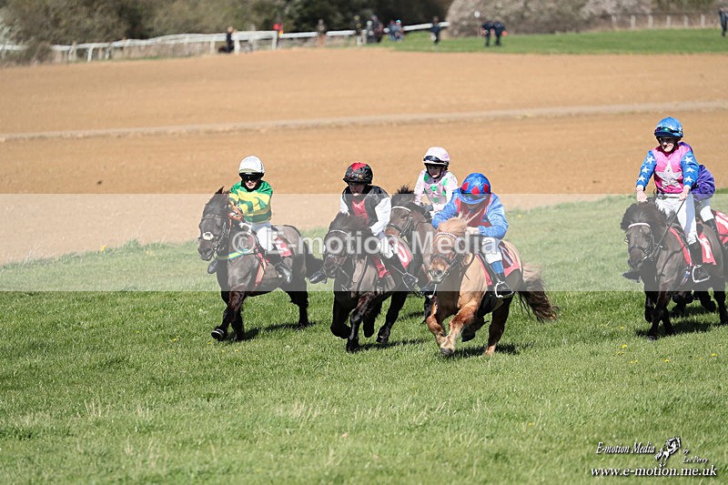 Shet 060426 260 - Shetland Pony Racing Paxford Races Easter Mon 06/04/26
