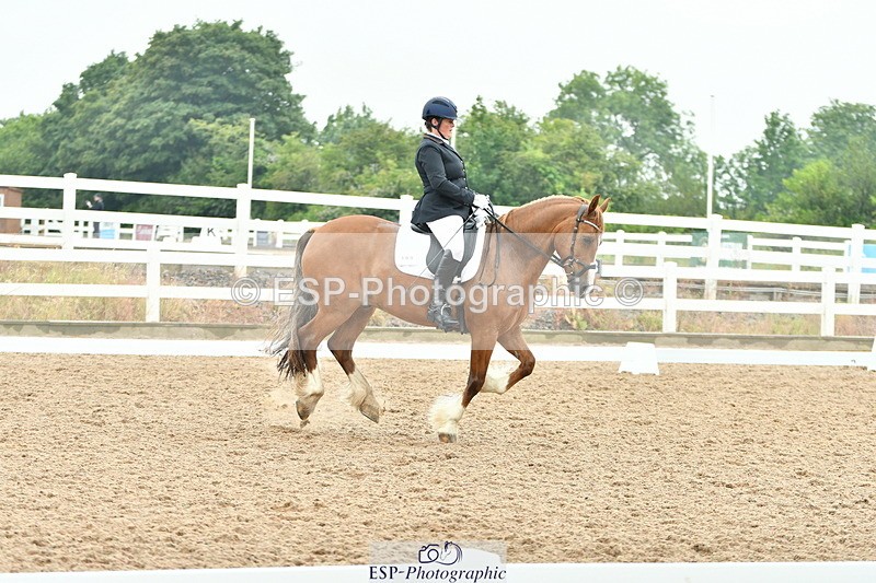 230708A-135408-02866 - Elementary 43