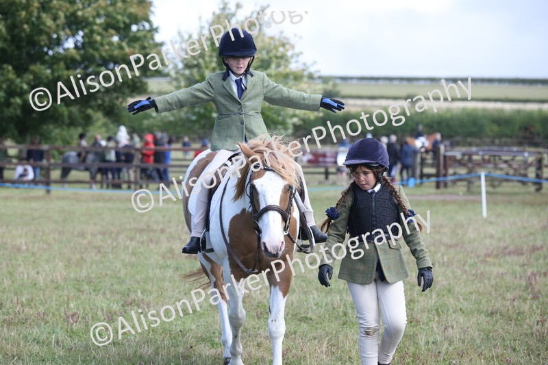 20250831-2462 - Class 16 - Family Pony