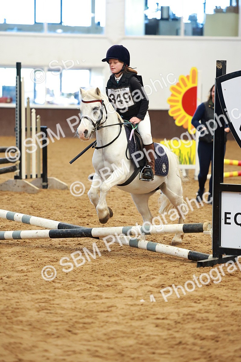 SBM_005159 - Class 1 - 40cm