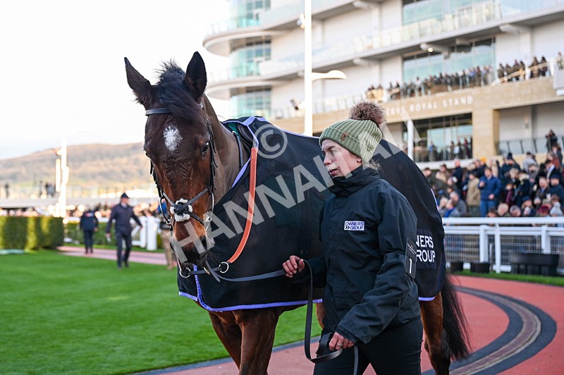 141224-Race 4-Stage Star-0625 - Race 4