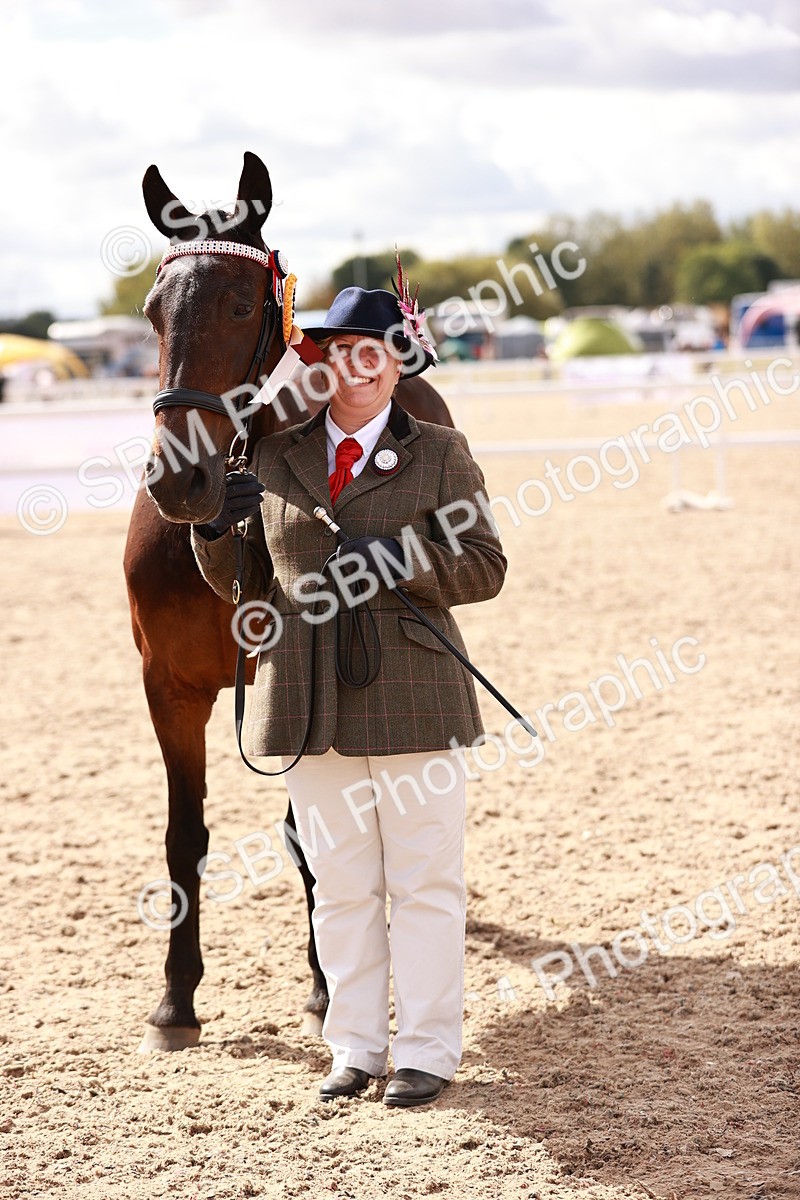 SBM_14235 - Class 407 - IH Hack Riding Horse