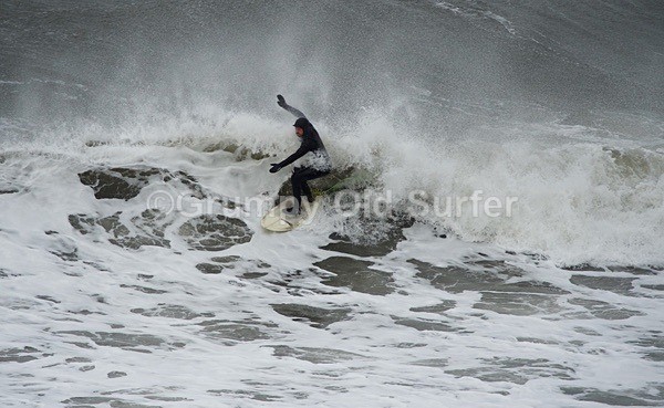 DSC_1751 - Cayton Bay - 11th April 2017