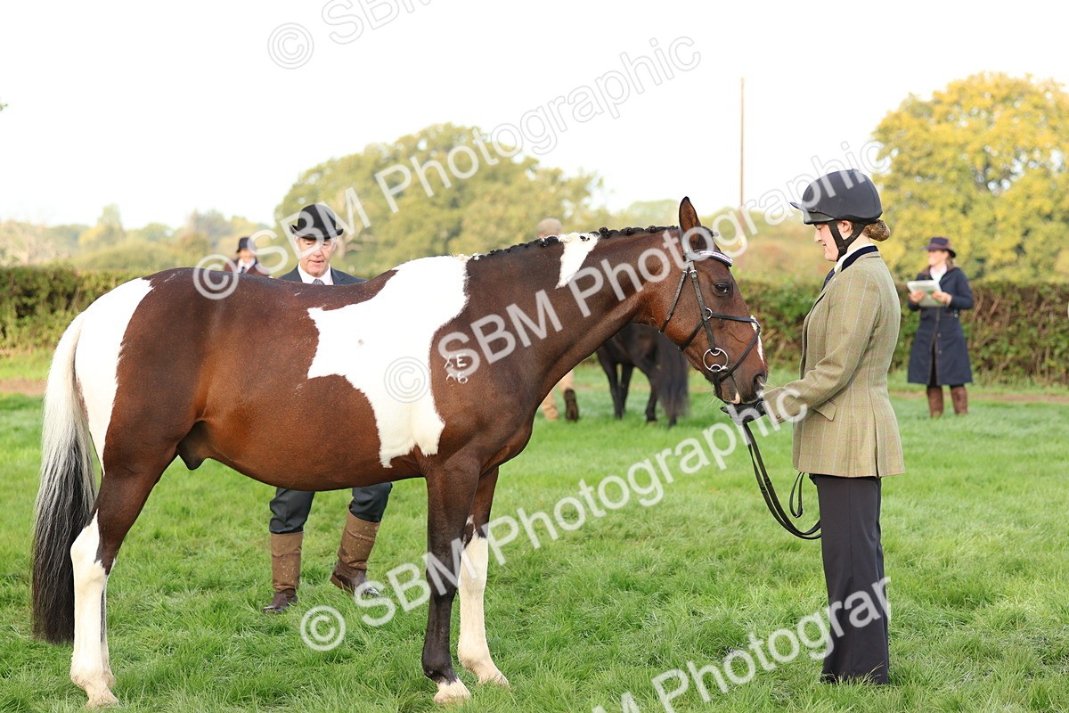 SBM_54837 - S39 - Starters In Hand Showing