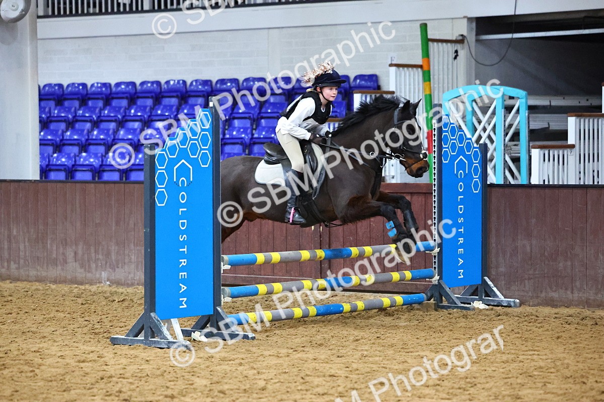 SBM_001423 - Class 3 - Christmas Tree Stakes - 60cm