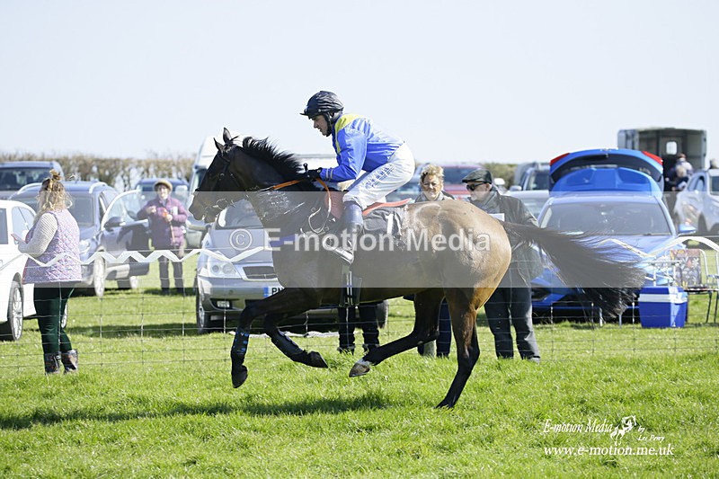 PtP 190322 166 - Wilton Hunt PtP Milborne St Andrew 19/03/22